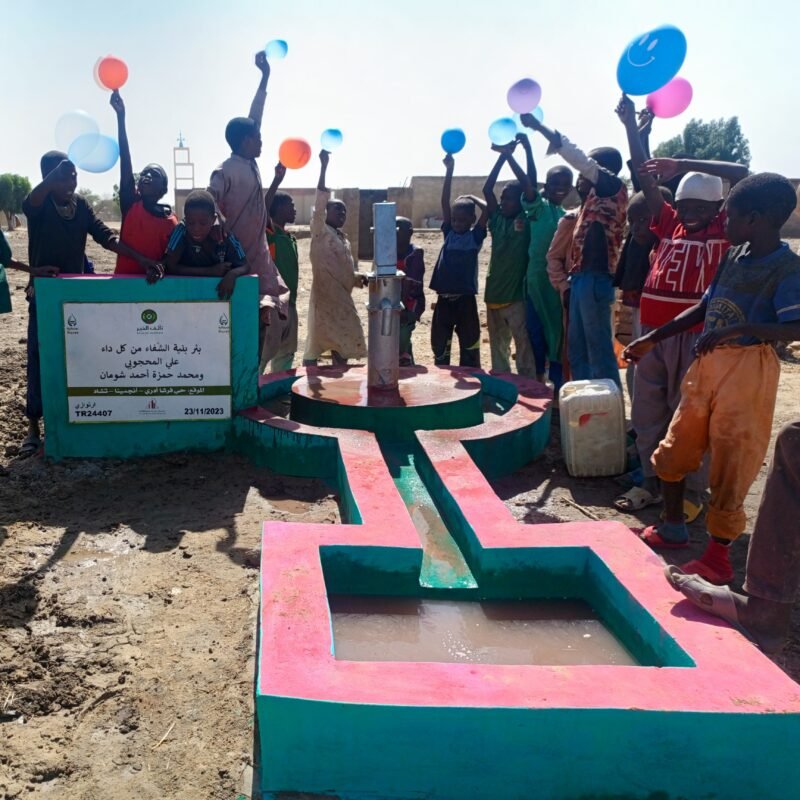 Surface well in Chad