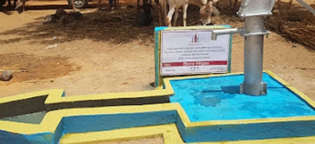 قلوب تُروى برائحة الأرض