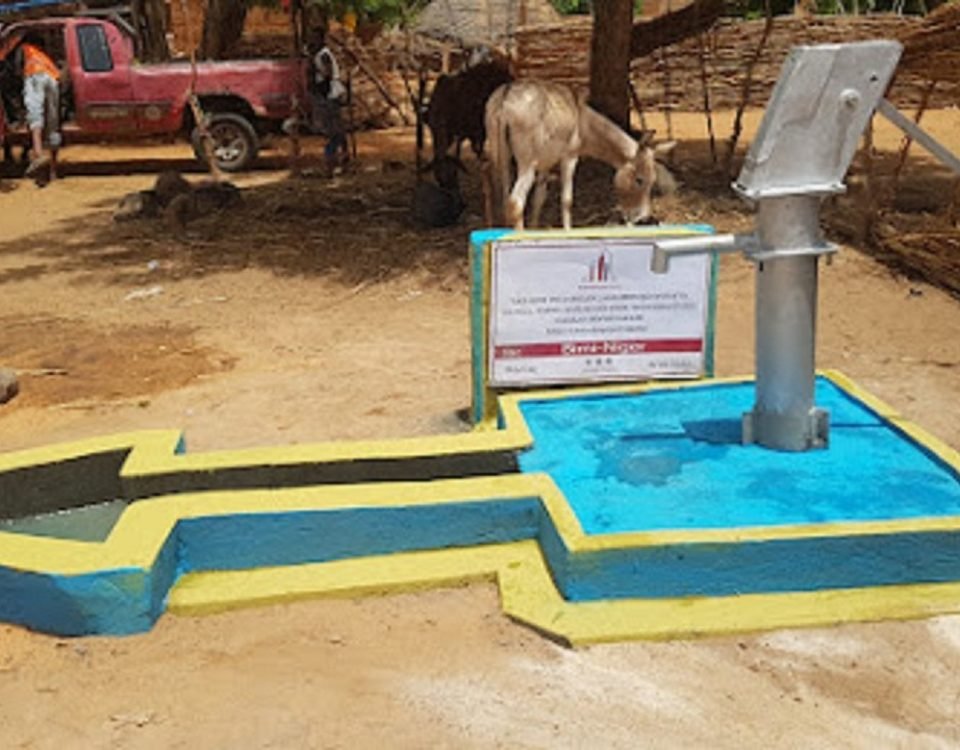 قلوب تُروى برائحة الأرض