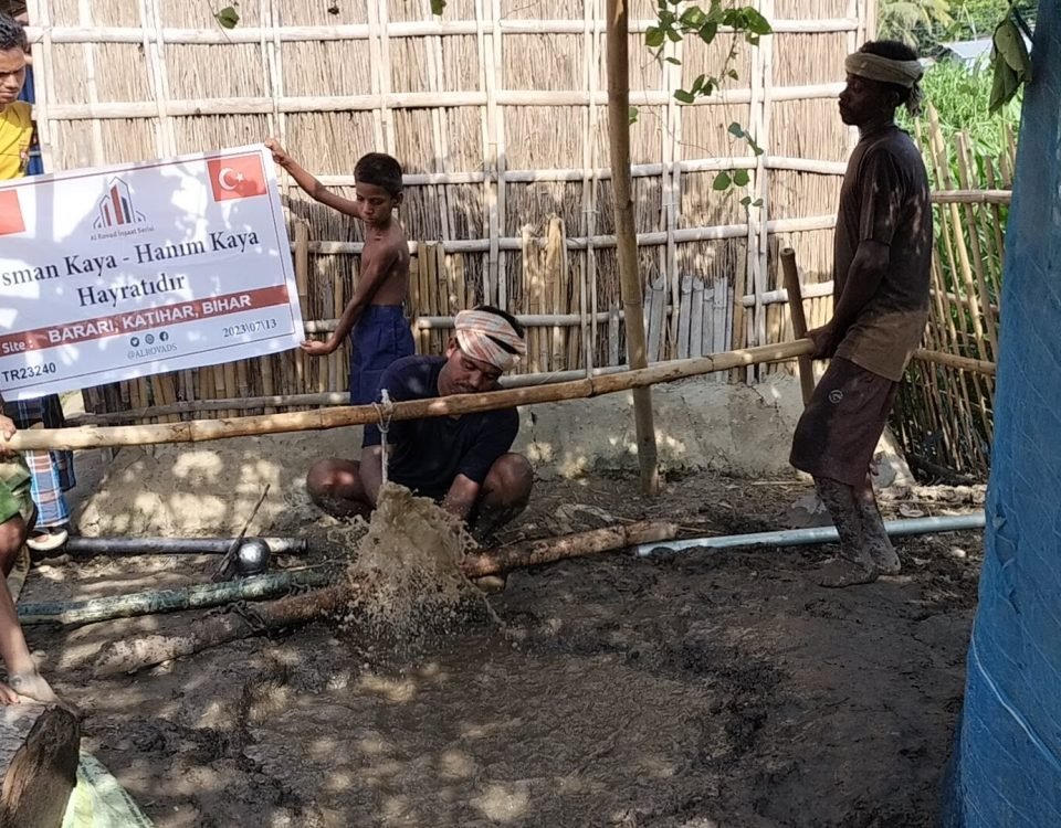 سقاية محاصيل الأرز