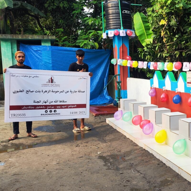 Surface well with taps and ceramics in Bangladesh